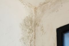 Mold on white wall. Dampness causing fungus on the wall